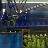 Layering Pears On Inlay