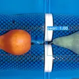 Detection Algorithm