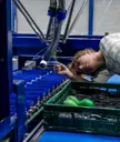 RIWO Fruit Sorting System